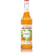 Imagem de Xarope Tangerina 250ml - MONIN