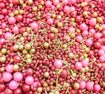 Imagem de Confeitos Sprinkles Rose Gold 60g - MORELLO