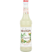 Imagem de Xarope Gengibre 700ml - MONIN